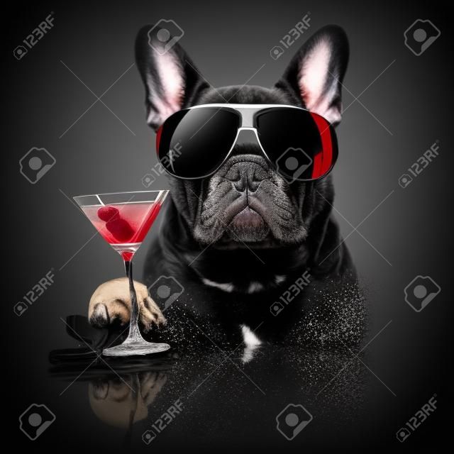 法國鬥牛犬在黑暗黑色孤立的背景，與馬提尼雞尾酒飲料慶祝和敬酒，看起來很酷
