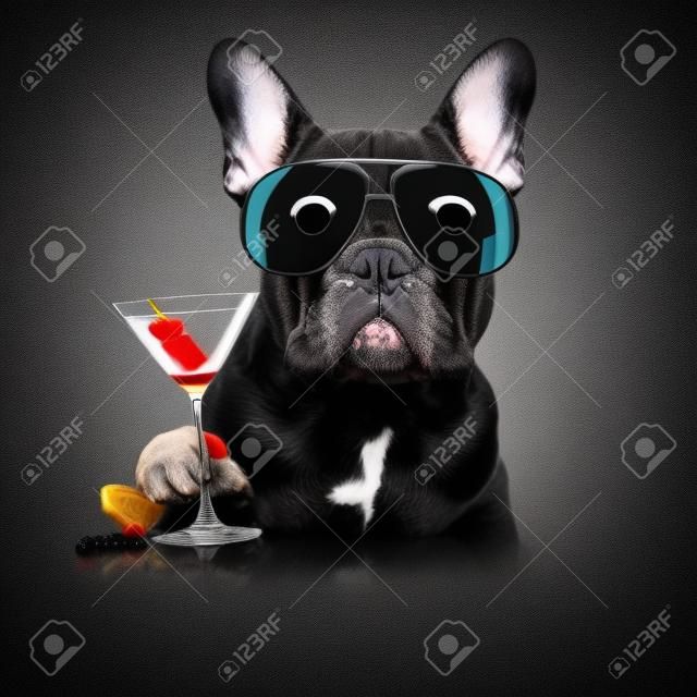 Francia bulldog sötét fekete elszigetelt háttér, martini koktél ital ünnepli és pirítós, hűvös kinézetű
