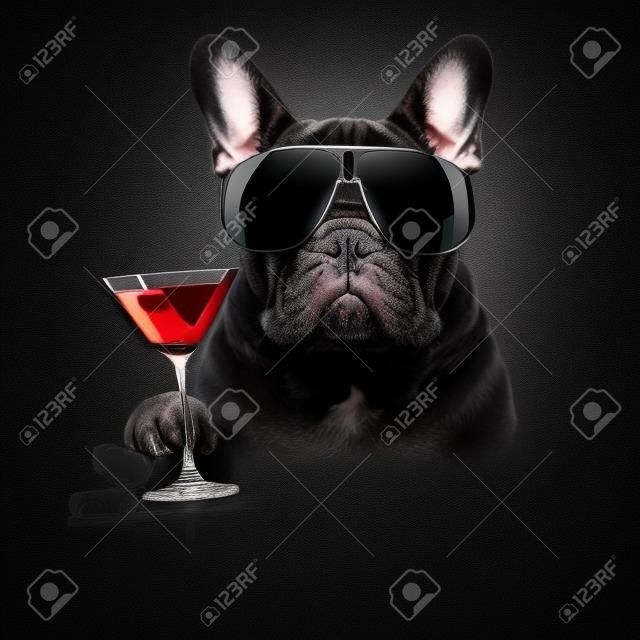 Karanlık siyah izole arka planda Fransız bulldog, martini kokteyl içeceği kutluyor ve kızartıyor, serin görünüyor
