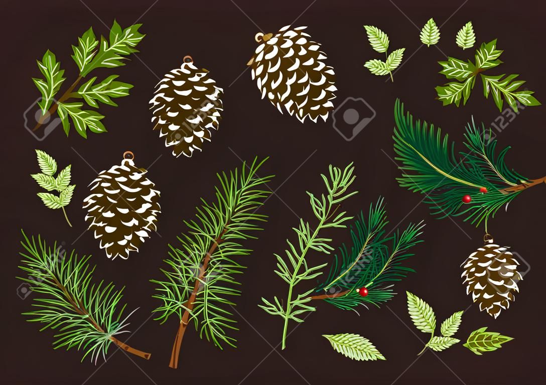 Conjunto navideño con ramas de coníferas y vegetación. ilustración vectorial Fondo oscuro y patrón de colores.