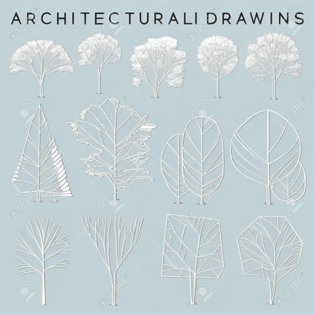 Set of Architectural Hand Drawn Trees: Vector Illustration