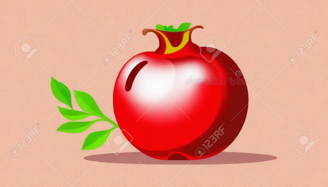 pomegranate fruits. Flat illustration of pomegranate isolated on white background. vector illustration