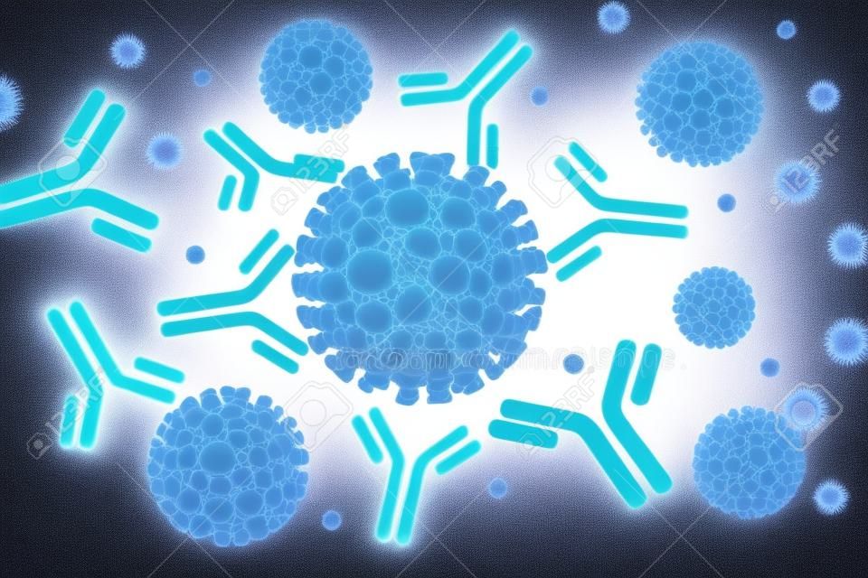 Ilustración de concepto médico partículas de virus corona que interactúan con epítopos de anticuerpos inmunoglobulinas producidas por el sistema inmunológico. Ilustración 3D.