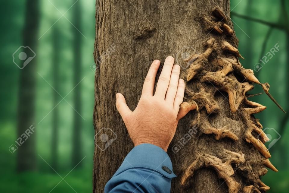 Man touching old tree. Wild nature and enviroment protection concept
