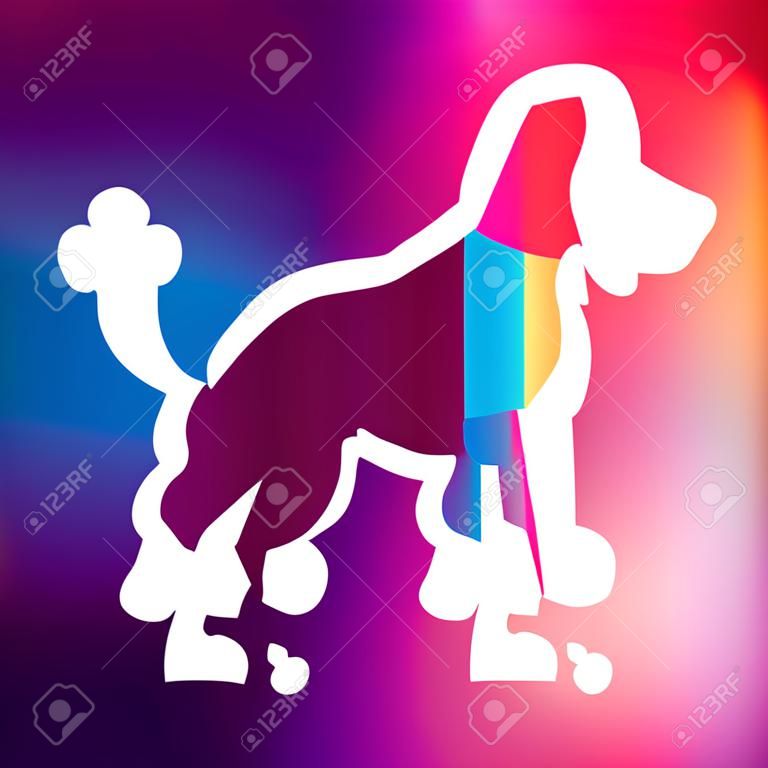 Design criativo do nome da raça dentro da silhueta do cão em fundo colorido e desfocado