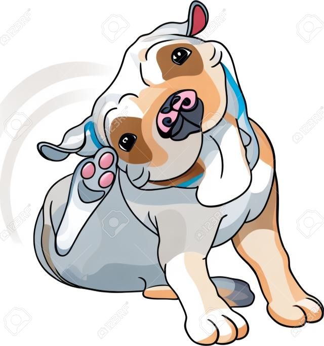 一個可愛的鬥牛犬的插圖抓在白色背景