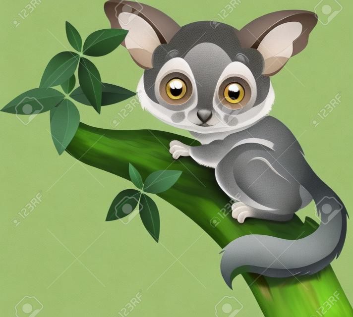 Fun zoo  Illustration of cute Galago