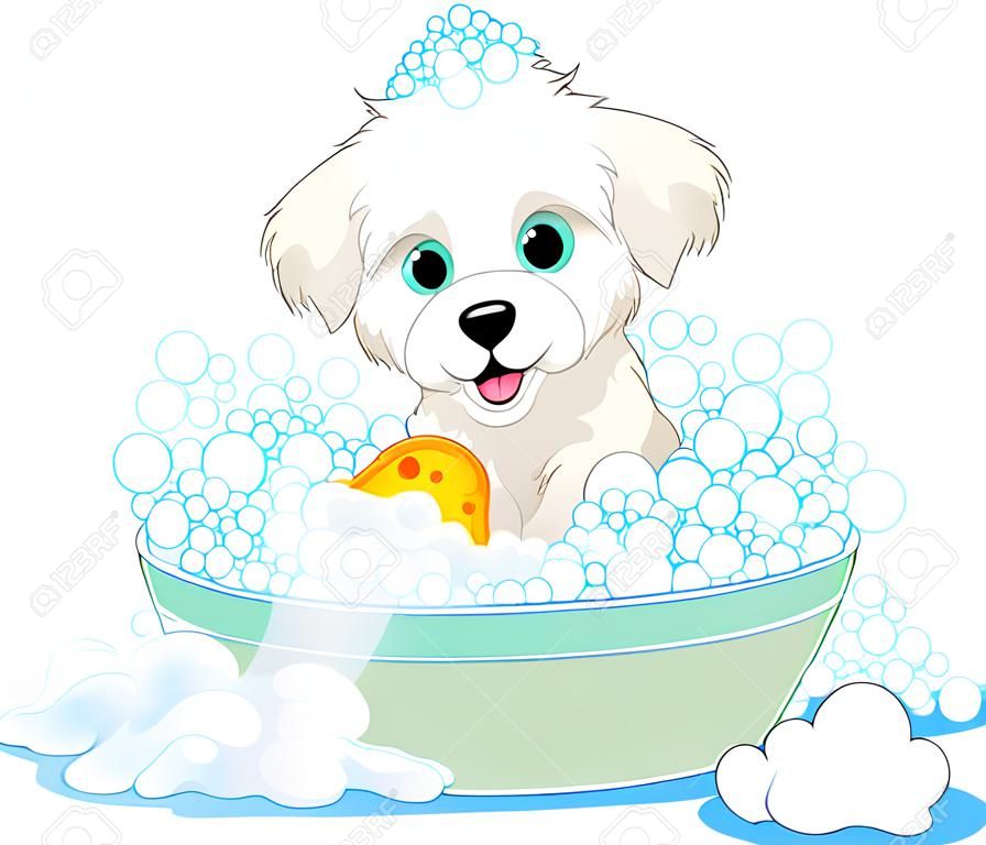 有肥皂浴的白色蓬松狗