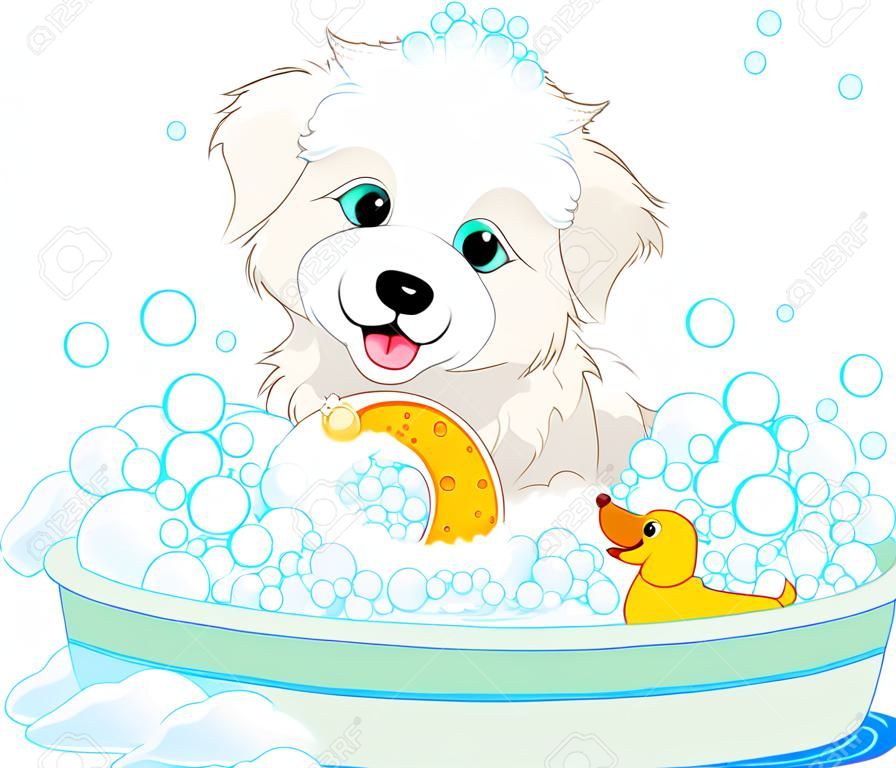White fluffy dog having a soapy bath