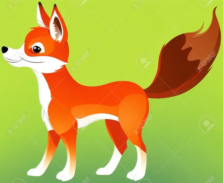 Ilustración de muy lindo zorro rojo