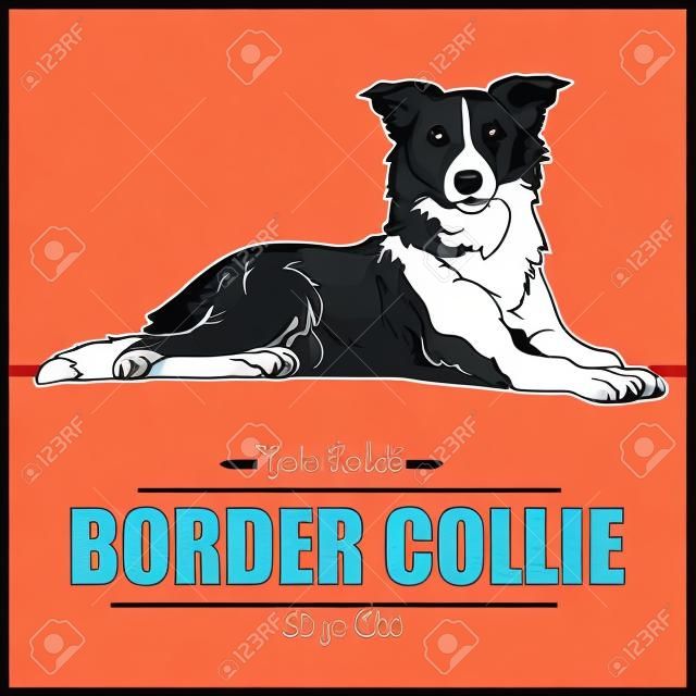 Border Collie Dog - ilustração vetorial para camiseta, logotipo e emblemas de modelo