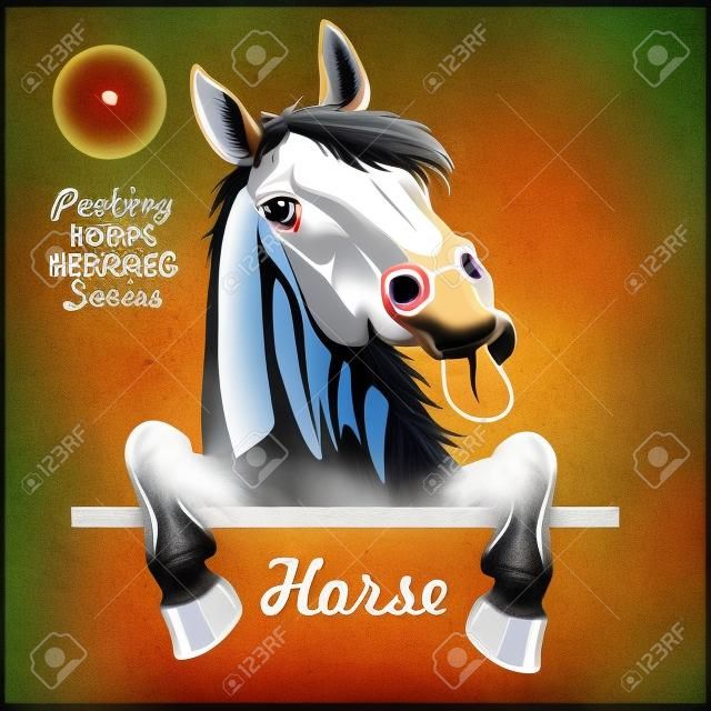 Peeking Horse - vrolijk paard stak zijn tong uit en gluren uit - gezicht hoofd geïsoleerd op wit