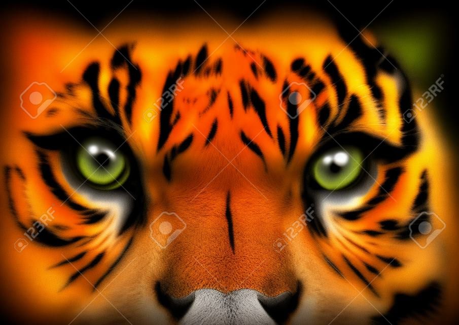 vector Tiger Eyes Mascot Graphic