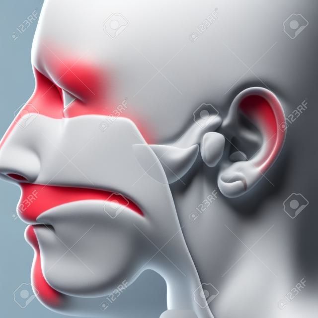 Las adenoides - Oído