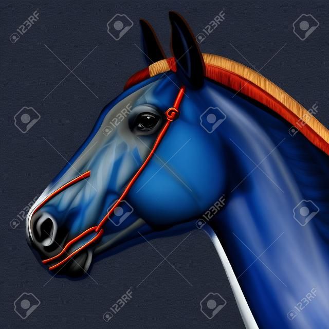 Голова лошади Мышцы - Верховая Equus Анатомия - на синем фоне