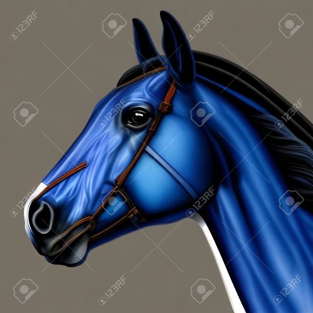 Pferdekopf Muscles - Pferd Equus Anatomy - auf blauem Hintergrund