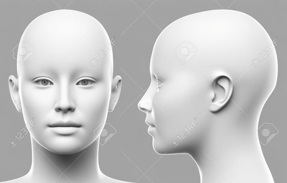 空白的白色女性头侧和前视图孤立的黑色3D插图