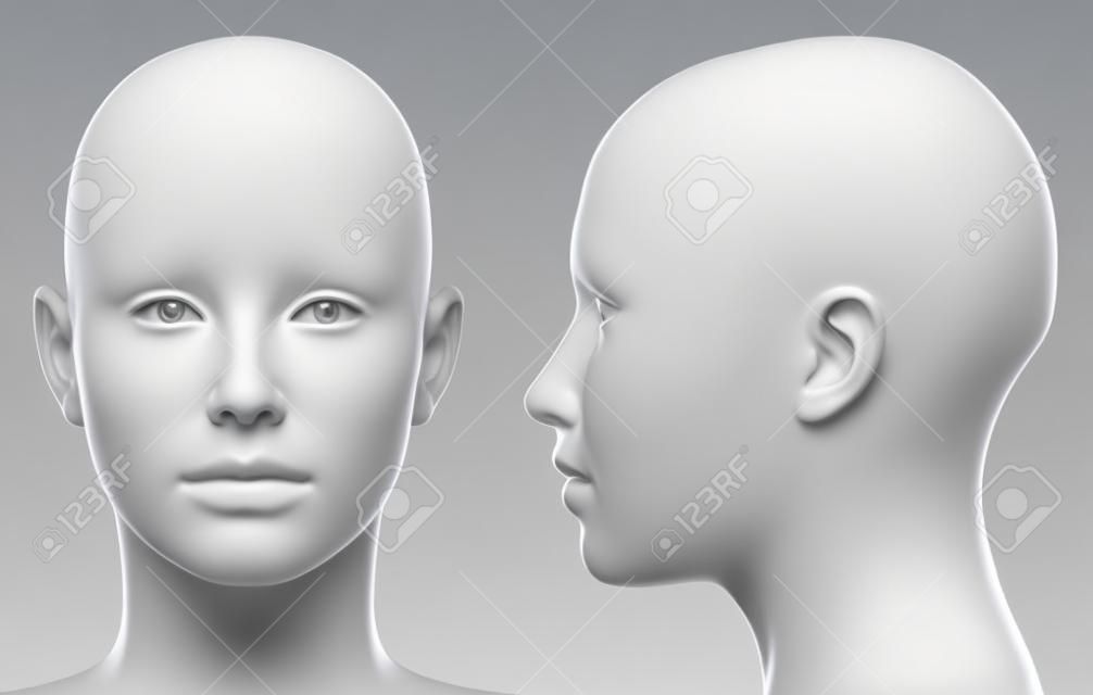 空白的白色女性头侧和前视图孤立的黑色3D插图