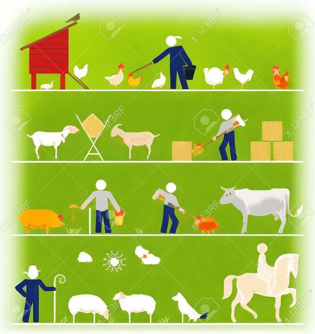 La alimentación de pollos y aves de corral, la alimentación de las cabras con heno, que alimentan los cerdos y el ganado, pastoreo de ovejas, Equitación. Iconos Agricultura.