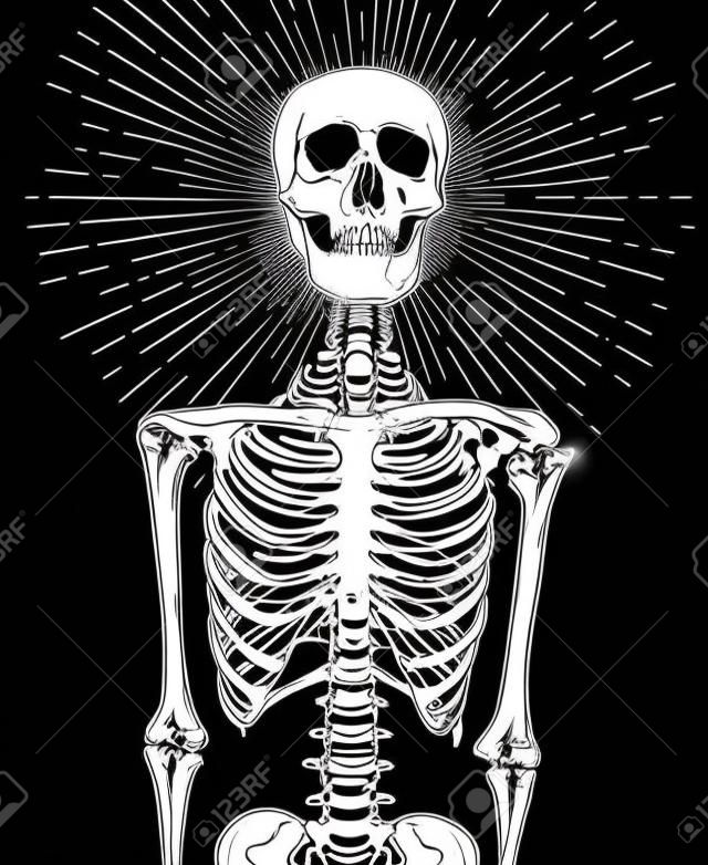 Esqueleto Humano Con Rayos De Luz Sobre El Cráneo. Dibujo De Cabeza Y  Cuerpo De Anatomía Vectorial Dibujado A Mano. Diseño De Impresión De  Ilustración De Estilo Gótico En Blanco Y Negro.