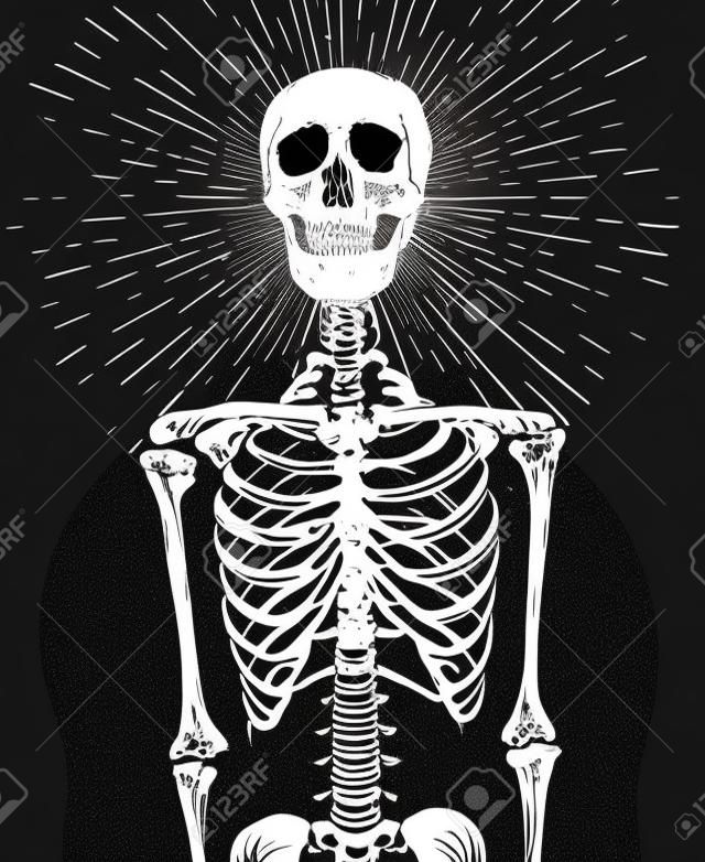 Ludzki szkielet z pękającymi promieniami światła nad czaszką. ręcznie rysowane wektor anatomia ciała i rysunek głowy. projekt druku ilustracji w stylu gotyckim w czerni i bieli.