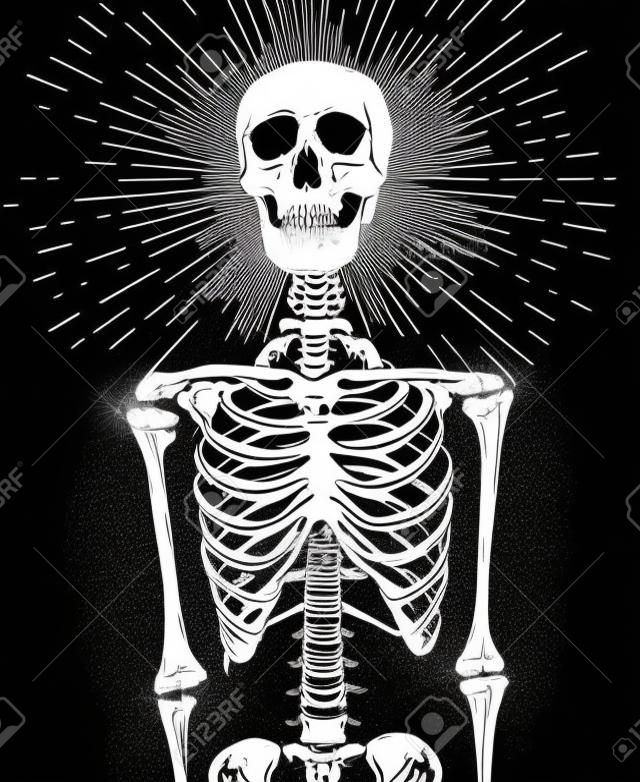 Esqueleto humano com raios de luz estourando sobre o crânio. Mão desenhada corpo de anatomia vetorial e desenho de cabeça. Projeto de impressão de ilustração de estilo gótico em preto e branco.
