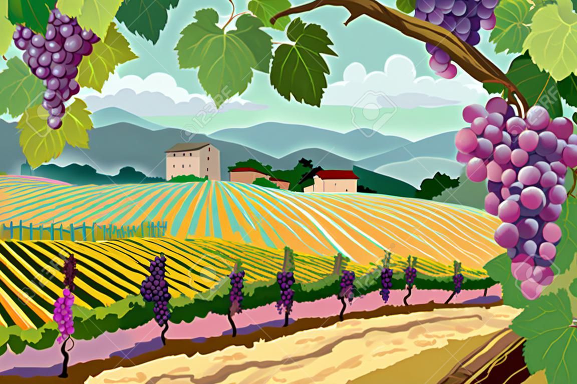 Rural landscape with vineyard and grapes bunches