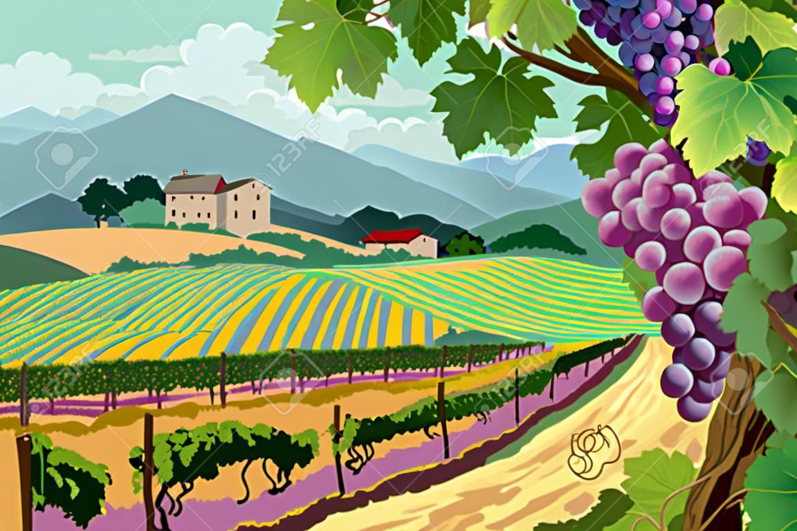 Paisaje rural con viñedos y uvas racimos