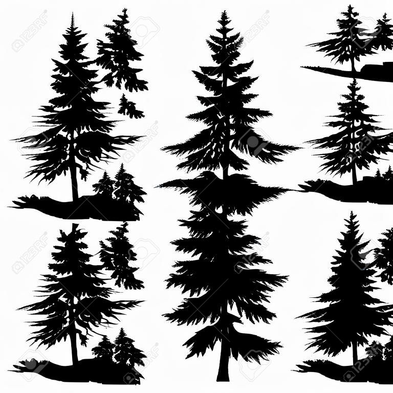 fir-tree silhouette at the white background