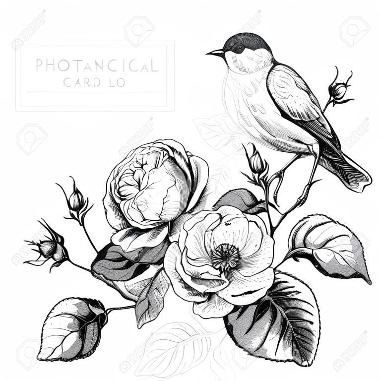Cartão floral botânico preto e branco no estilo vintage com flores e pássaros ingleses, ilustração vetorial