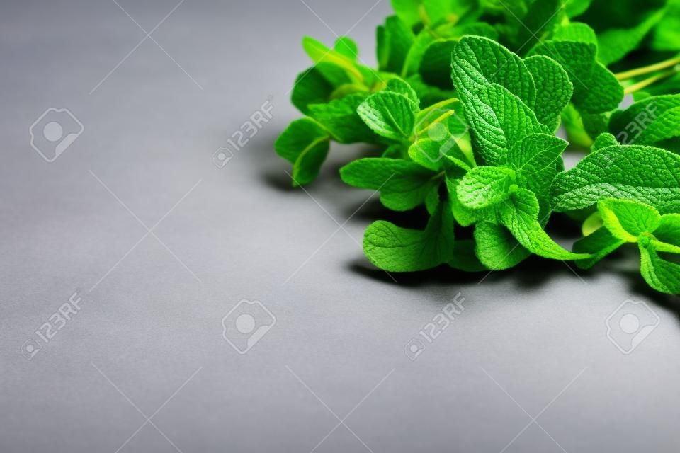 Fresh sprigs of fragrant mint on a gray background with copy space