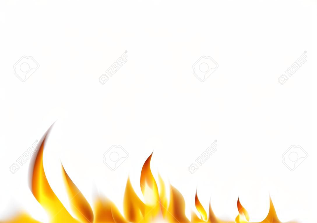 Flammes de feu réalistes sur fond blanc - Illustration détaillée pour vos projets graphiques, vecteur