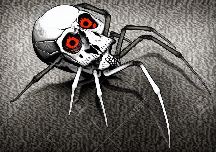 Gemalter Spinnenschädel - gruselige Zeichnung als Teil eines Halloween-Designs oder einer Horrorkomposition Illustration, Vektorgrafik