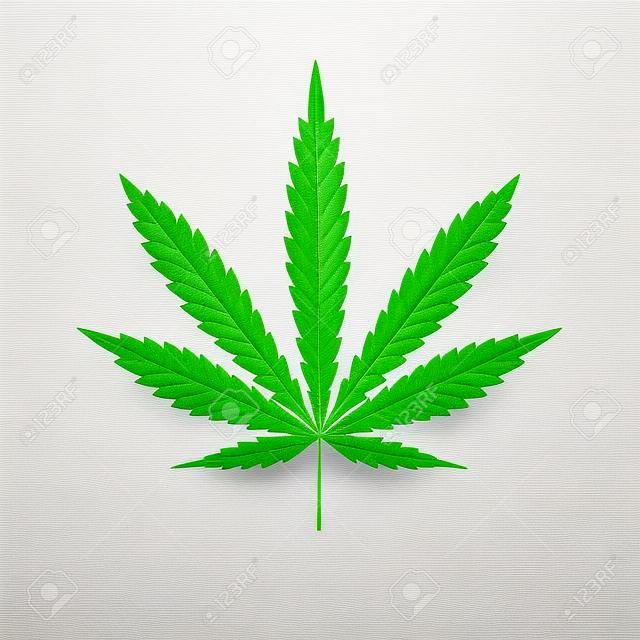 一块大麻被隔离在白色的背景上。