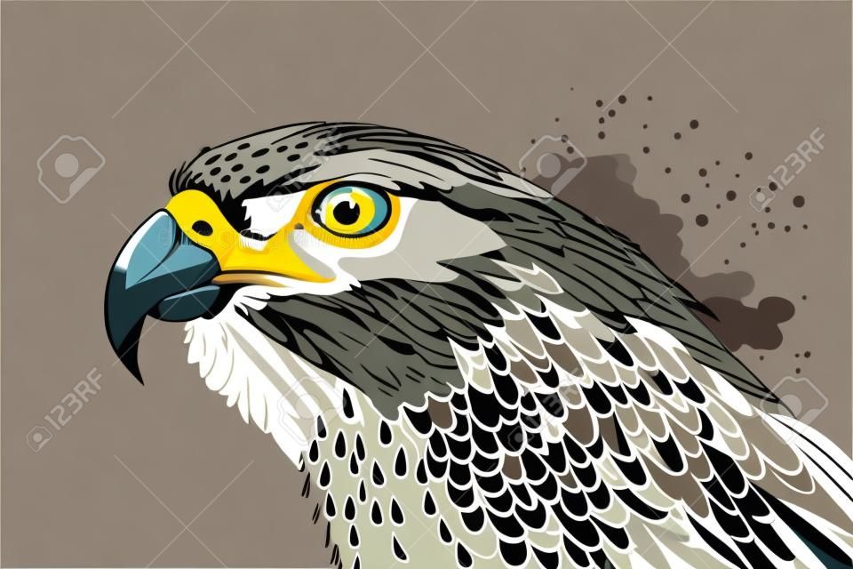 Peregrine falcon head. Bird of prey. Vector illustration
