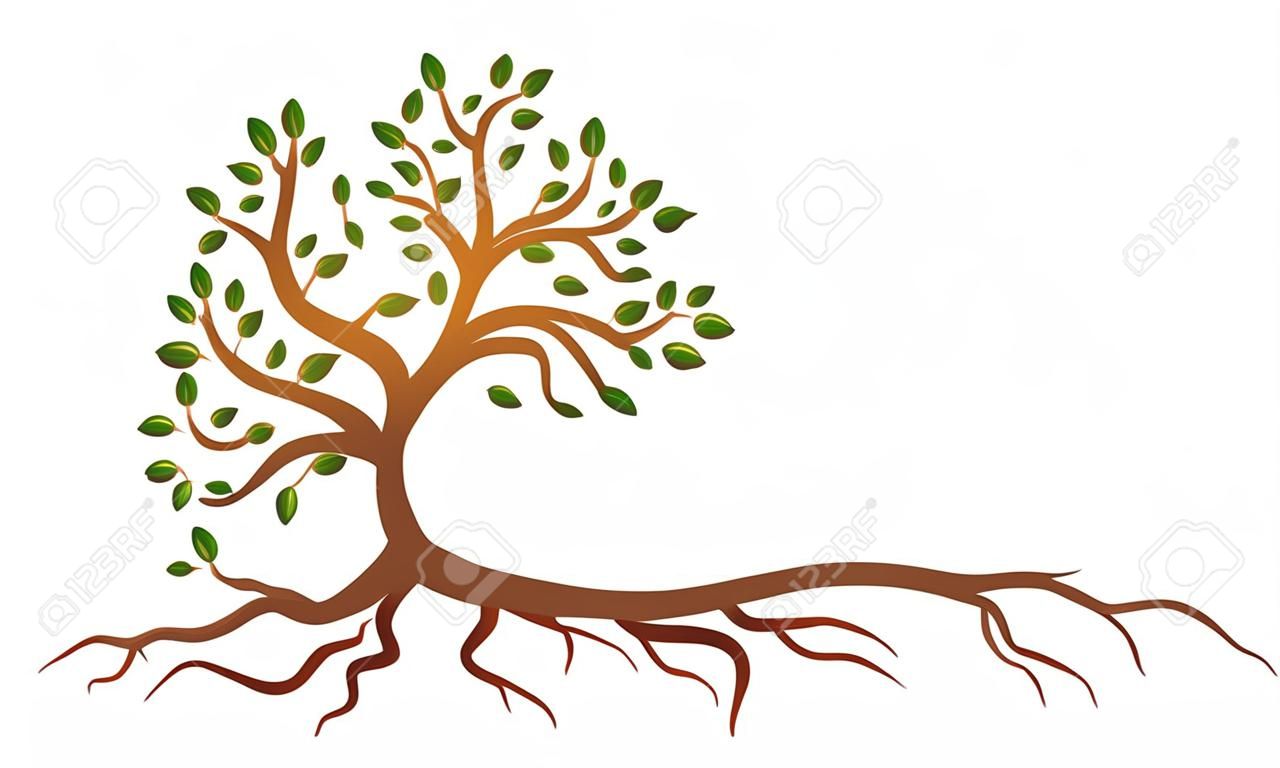 Ein Symbol eines stilisierten grünen Baums mit Wurzeln.