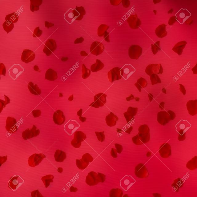 Répétable pétales de rose en rouge, studio photo avec la profondeur de champ, isolé sur blanc