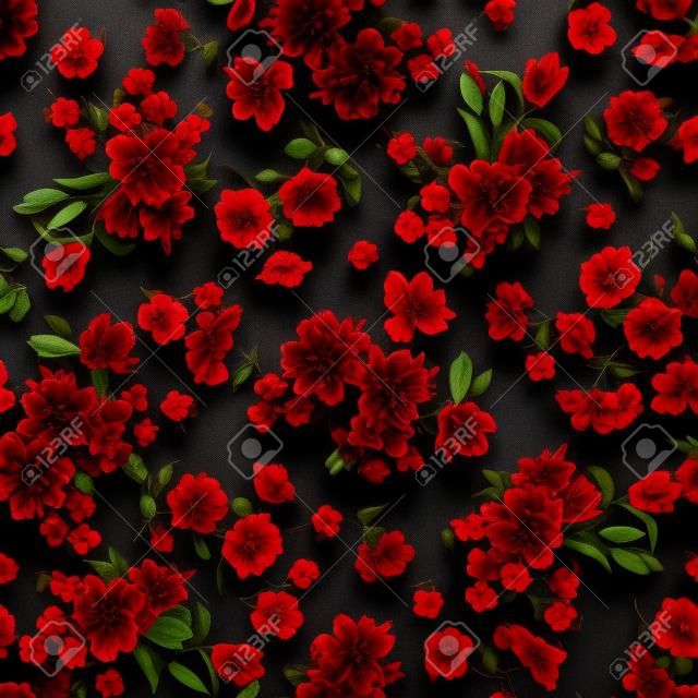 Red Flowers on Black Background