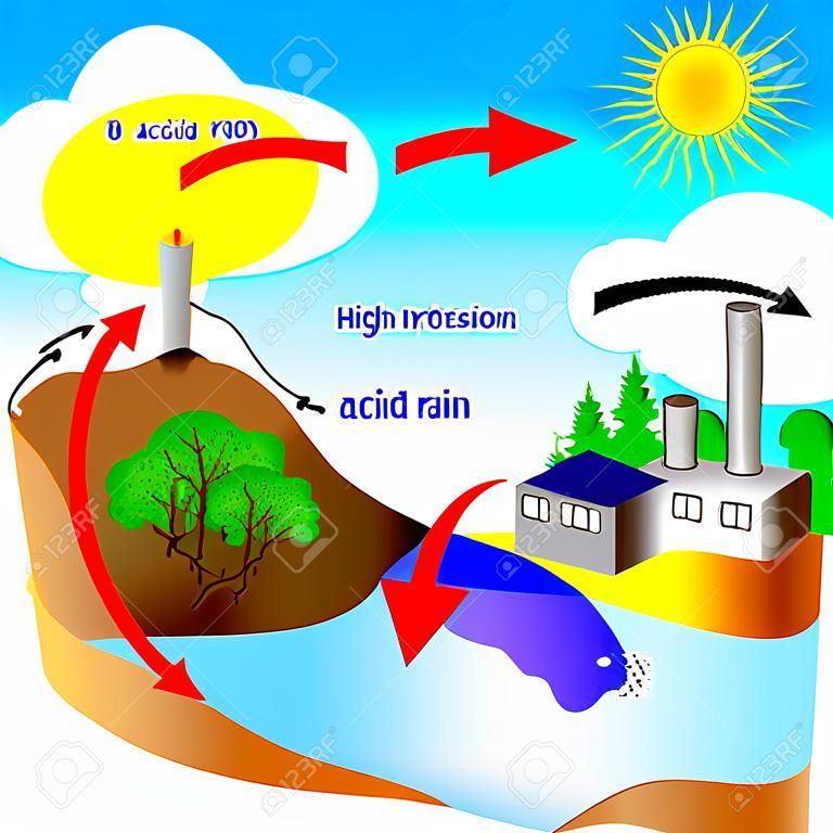 La lluvia ácida es causada por las emisiones de dióxido de azufre y óxido de nitrógeno, que reaccionan con las moléculas de agua en la atmósfera para producir ácidos árboles bajos de pH muertos por la lluvia ácida Protocolo de Kyoto