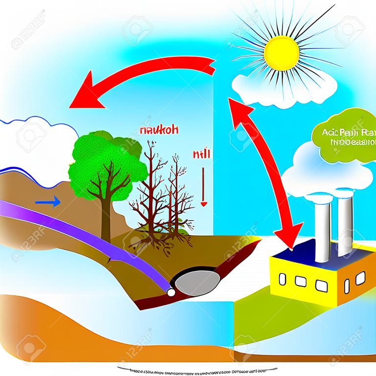 KwaÅ›ne deszcze sÄ… spowodowane przez emisjÄ™ dwutlenku siarki i tlenku azotu, ktÃ³re reagujÄ… z czÄ…steczkami wody w atmosferze do wytwarzania kwasÃ³w niskich drzew pH kwaÅ›nym deszczu zabitych przez ProtokÃ³Å‚ z Kioto