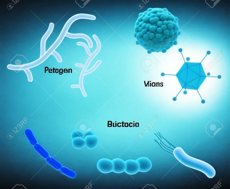 病原体や微生物。ウイルス、細菌、菌類。人間の病気