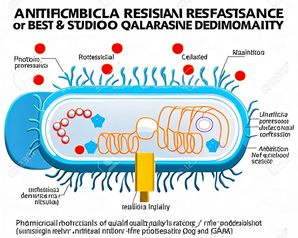 Resistência antimicrobiana ou resistência a antibióticos.
