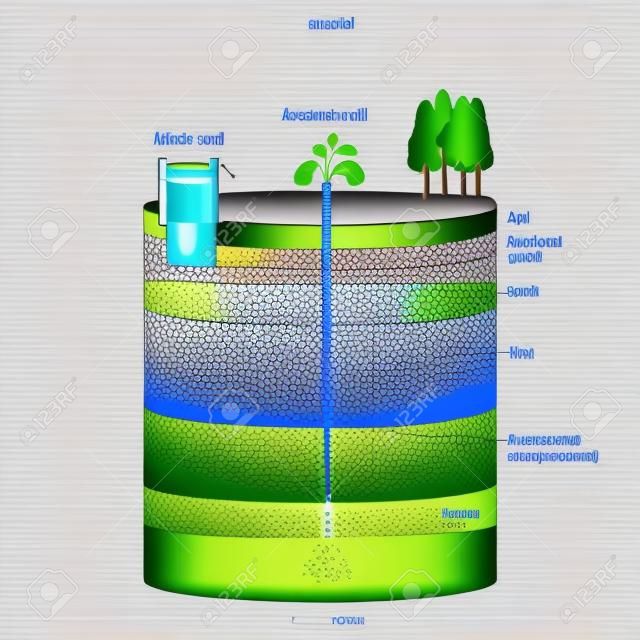 Água artesiana e águas subterrâneas. Esquema de um poço artesiano. Seção transversal típica do aquífero. Diagrama vetorial