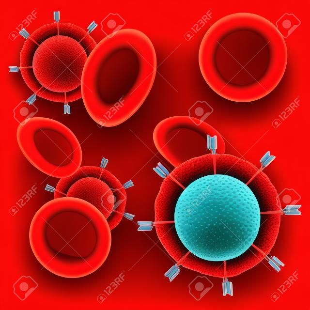 CAR T-Zelle und rote Blutkörperchen auf rotem Hintergrund. Nahaufnahme eines chimären Antigenrezeptors und einer CAR-T-Zelle. Vektor Poster über Immuntherapie oder Chemotherapie bei Krebs.