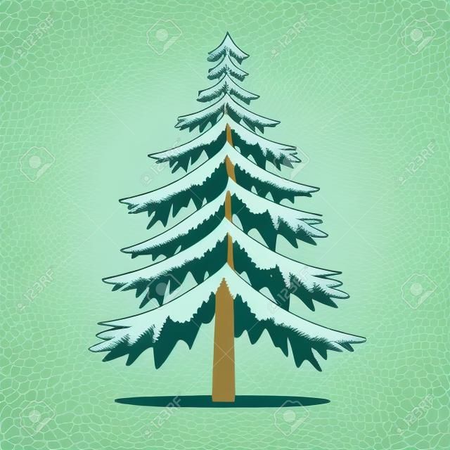 Pine Trees vektor Illustration.isolated Fenyő és tűlevelű fa.