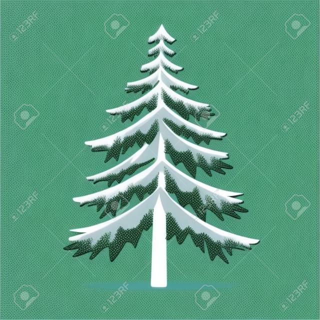 Pine Trees Vector Illustration.isolated Fir and Coniferous Tree.