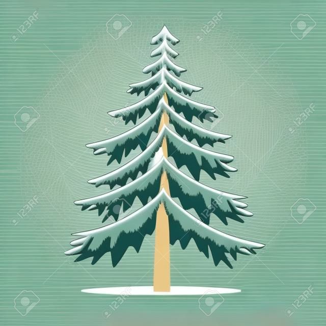 Pine Trees vektor Illustration.isolated Fenyő és tűlevelű fa.