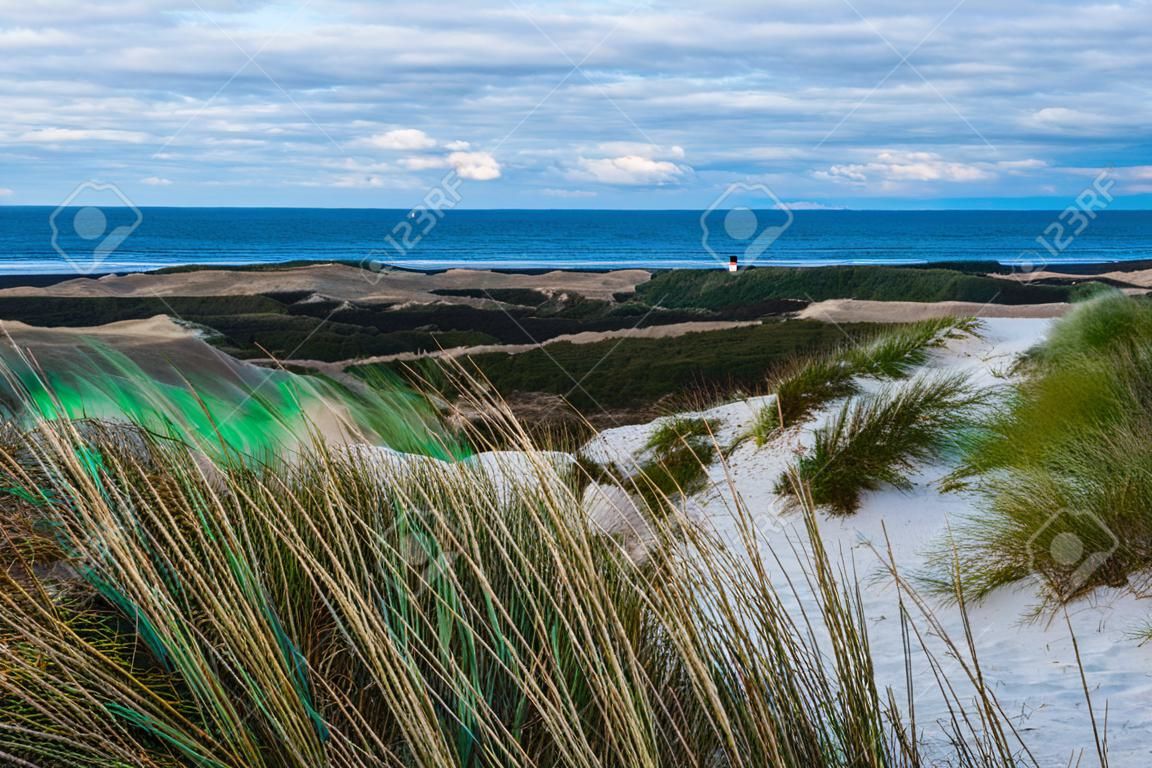 Scenic view of sand dunes by the coast with the sea in the background, Hvinde Sande, Denmark.