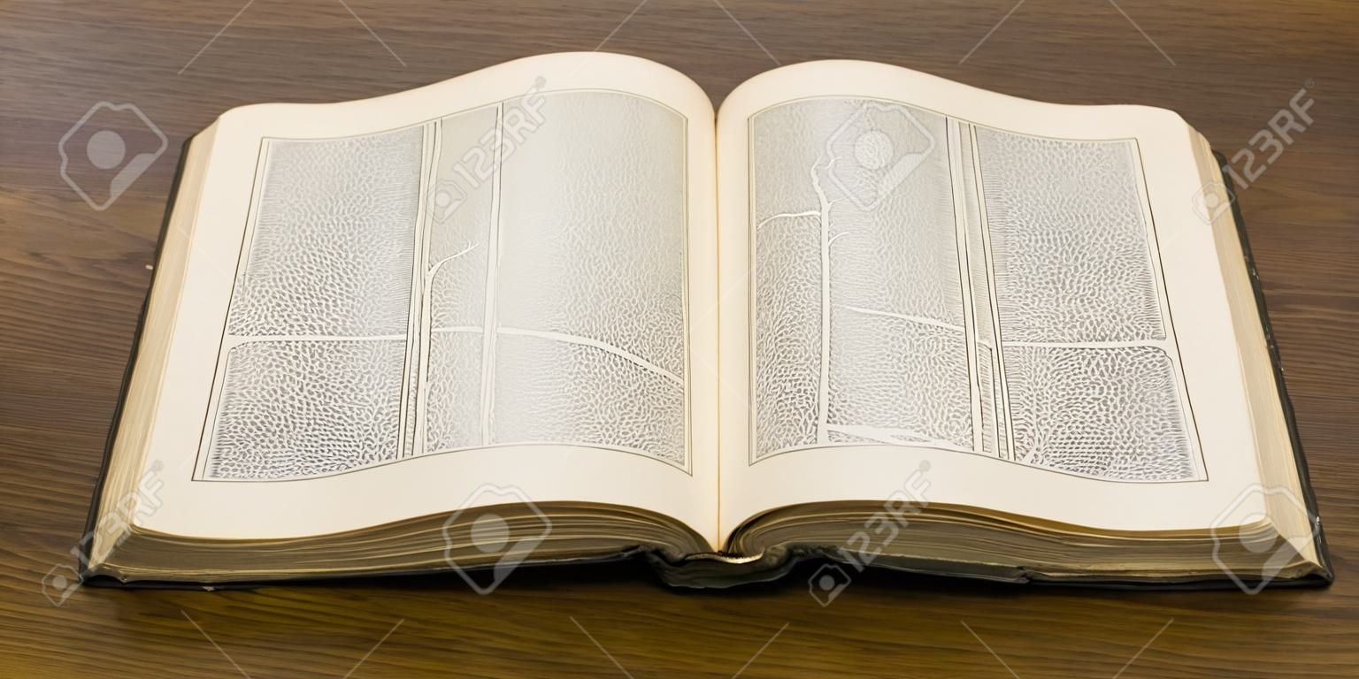 開いた古い大きな本。フランスの百科事典。