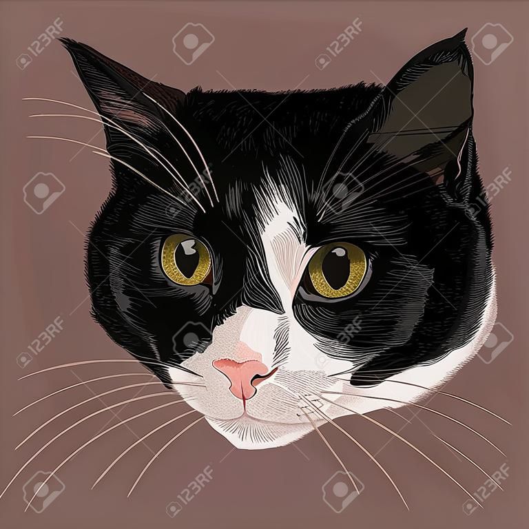 Portrait d'un chat noir et blanc. illustration